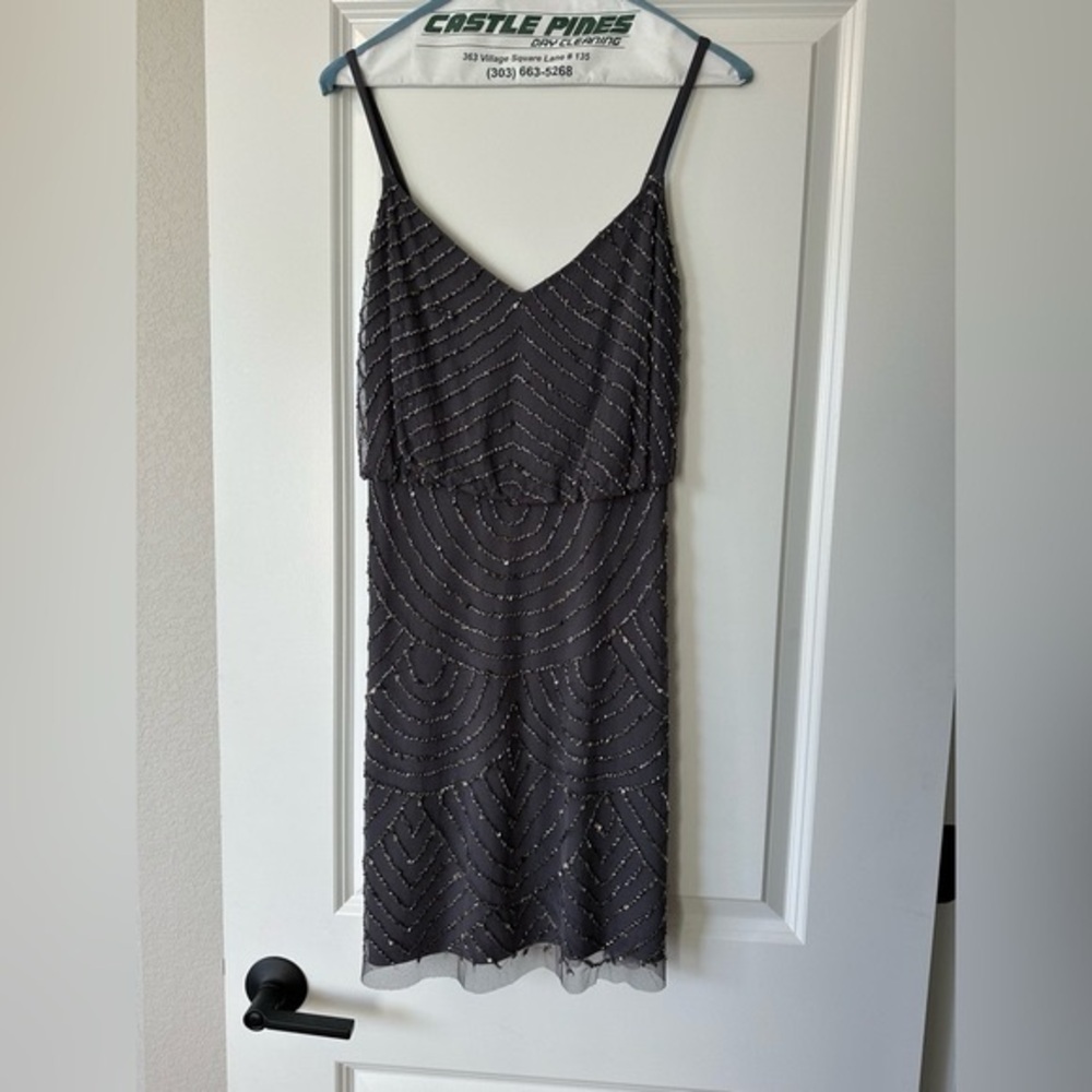 Adrianna Papell Blouson Gray embroidered Beaded mini Dress